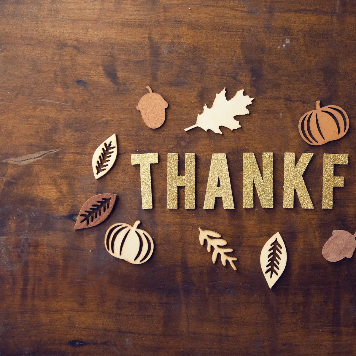 8 Things to Be Thankful for This Thanksgiving ...