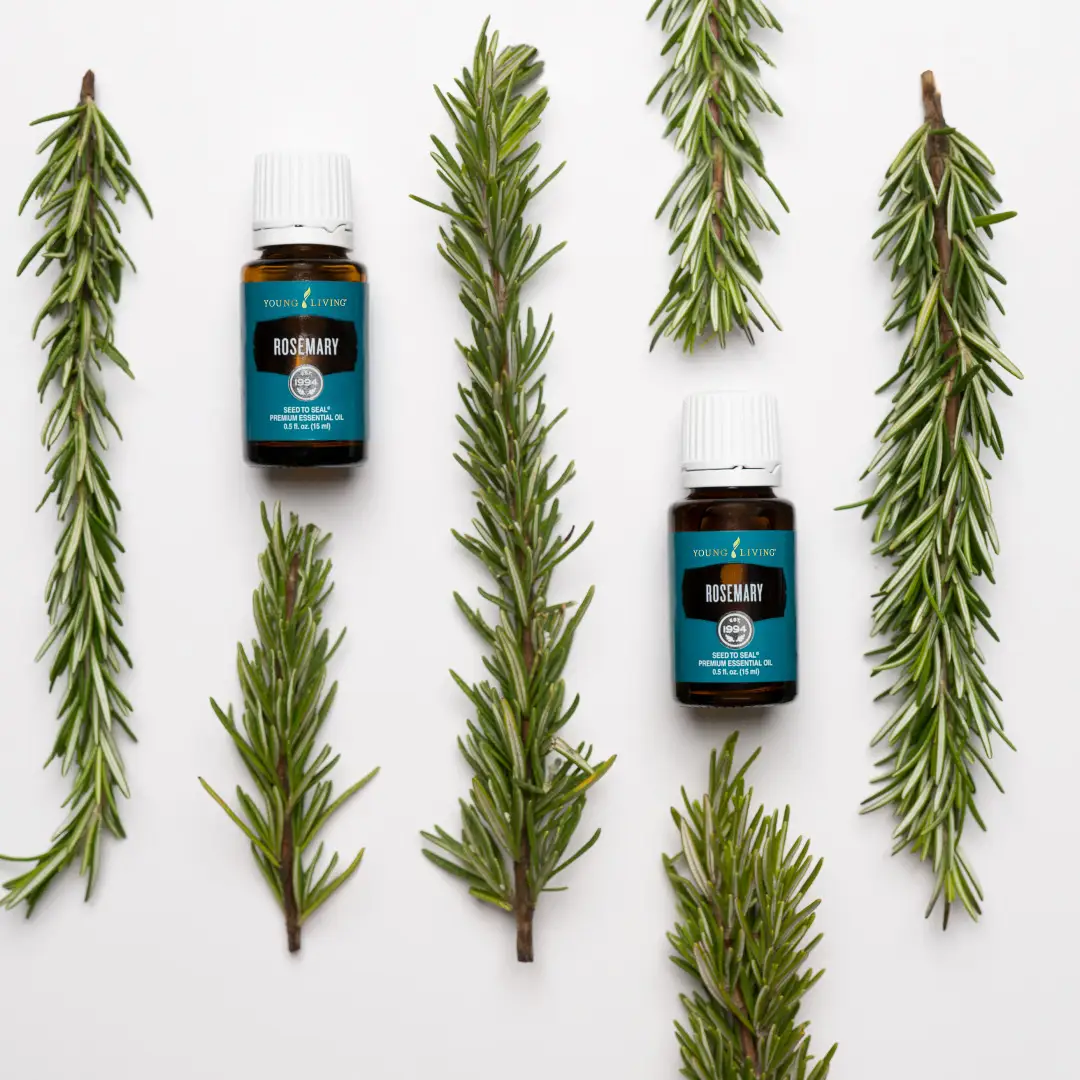 10 Best Essential Oil Brands You Should Definitely Know about ...