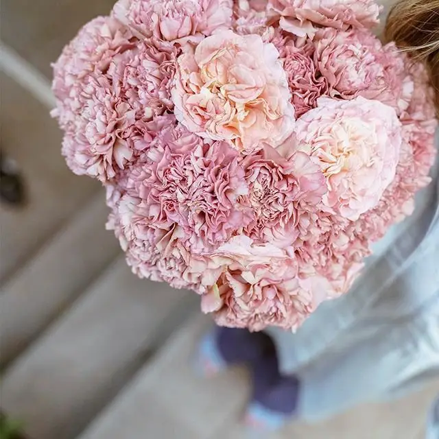 34 of Todays beyond Gorgeous Flowers Inspo for Girls Looking to Add Something to Their Home ...