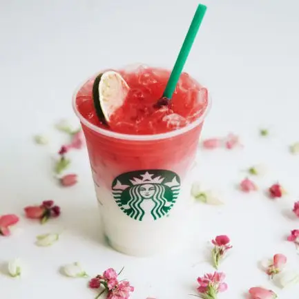 Limited Time Offer Starbucks and Lady Gaga Collaborate on Cups of Kindness to Support Born This Way Foundation ...