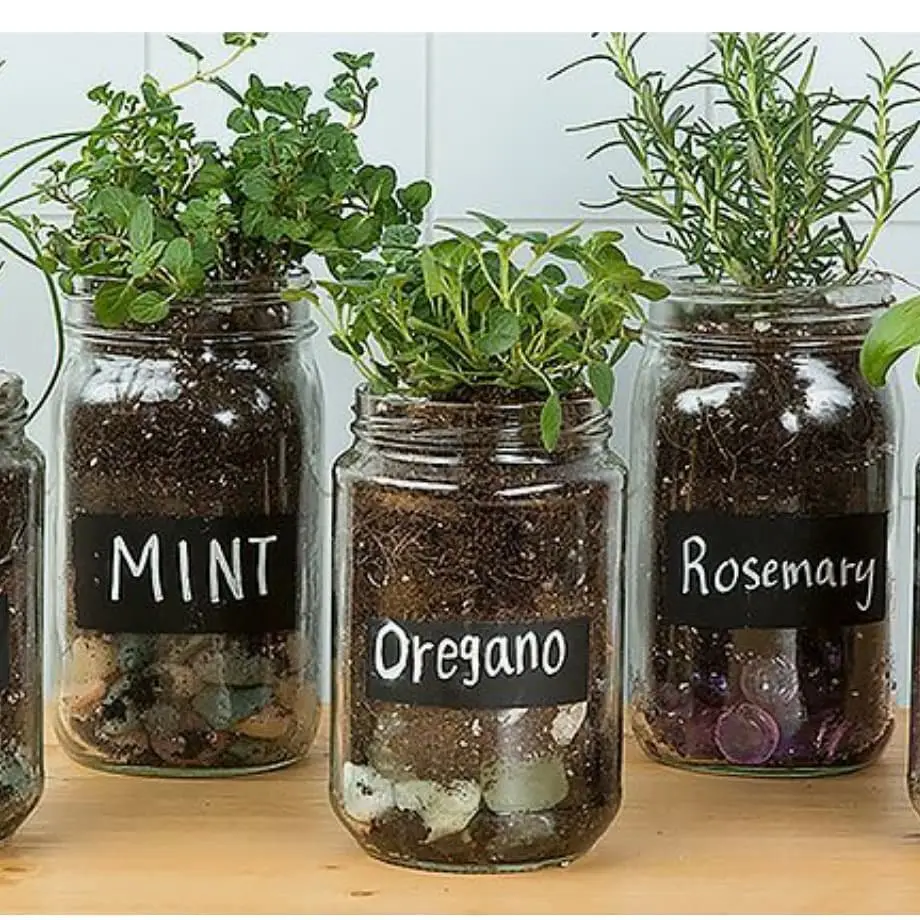 Ways to Display Your Jar Herb Gardens ...