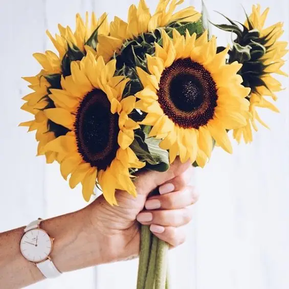 34 of Todays Astounding Flowers Inspo for Girls Looking to Add Something to Their Home ...