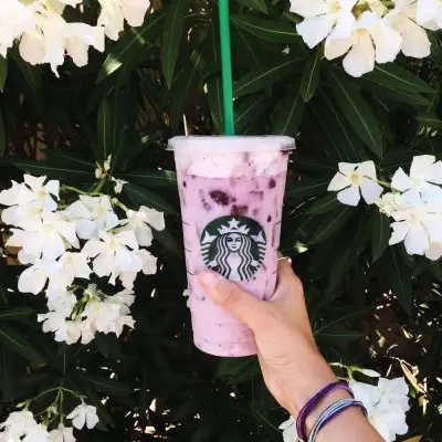 17 Starbucks Combos to Tickle Your Tastebuds ...