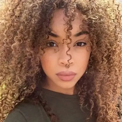 Try These Twist out Hairstyles when You Want Something New ...