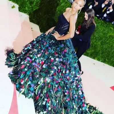 These Celebrities Rocked the Met Gala Red Carpet