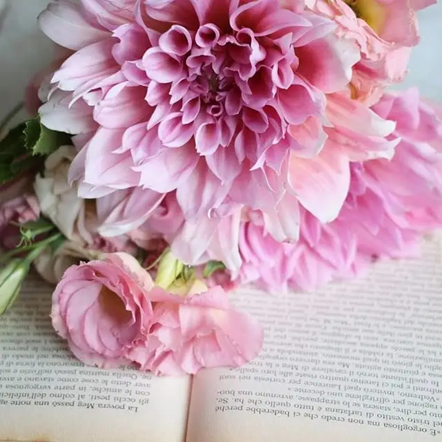 30 of Todays Bomb Flowers Inspo to Brighten Every Girls Day ...
