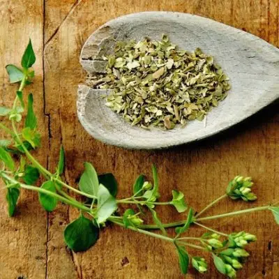 7 Herbs That Boost Your Weight Loss Efforts ...