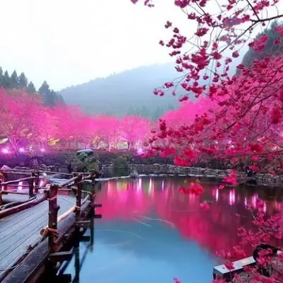 7 Pink Natural Wonders of the World ...