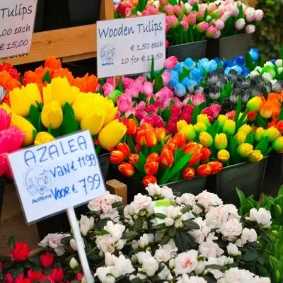 7 Best Blooming Flower Markets around the World ...