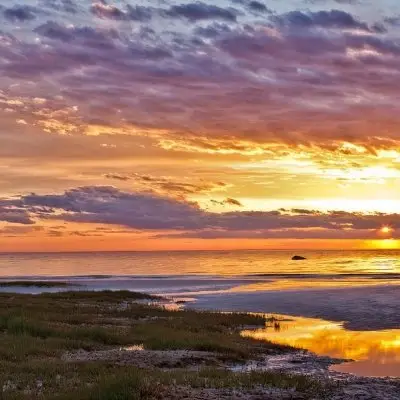 7 Essential Things to do in Cape Cod ...