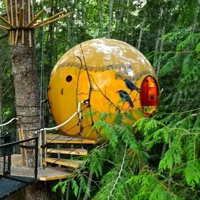 9 Gorgeous Treehouse Hotels You Wont Want to Check out of ...